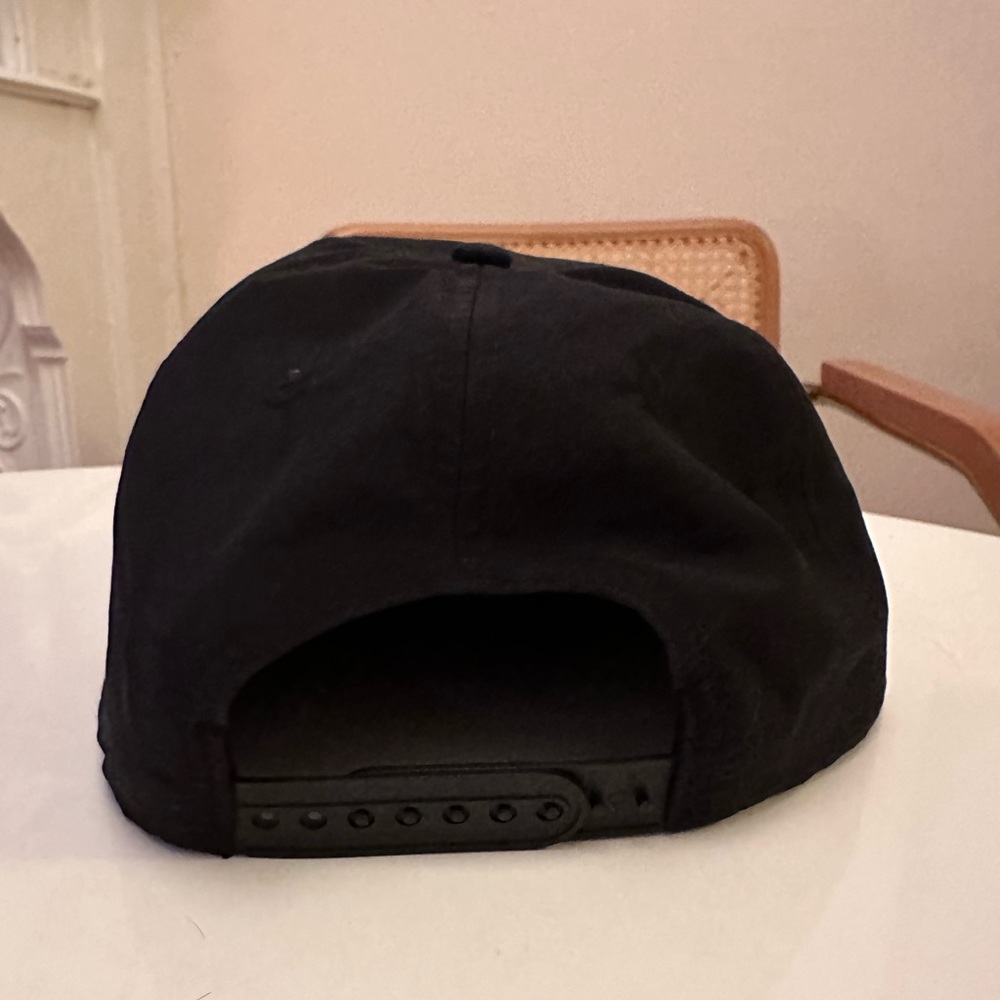 Deer Tick Dino Script Hat - Picture 3 of 3